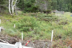 2014-housepit-2