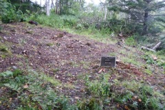 2014-housepit-Island-2