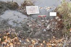 Exploits-dig-6