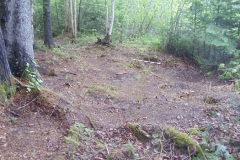 Four-Mile-Rapids-Plate-3-Housepit