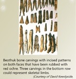 BEOTHUK-Institute-Poster-Animal-Spirits-1